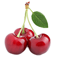 Cerises